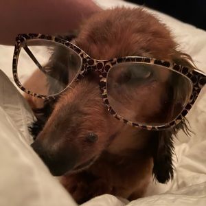 Meet your Posher, Brandon